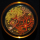 Illustration for article titled These Are the Years Best Examples of Art in a Petri Dish